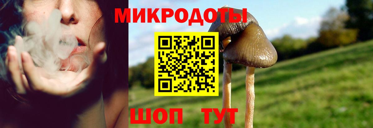 Псилоцибиновые грибы мицелий Назарово